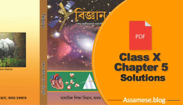 class 10 science chapter 5 solutions