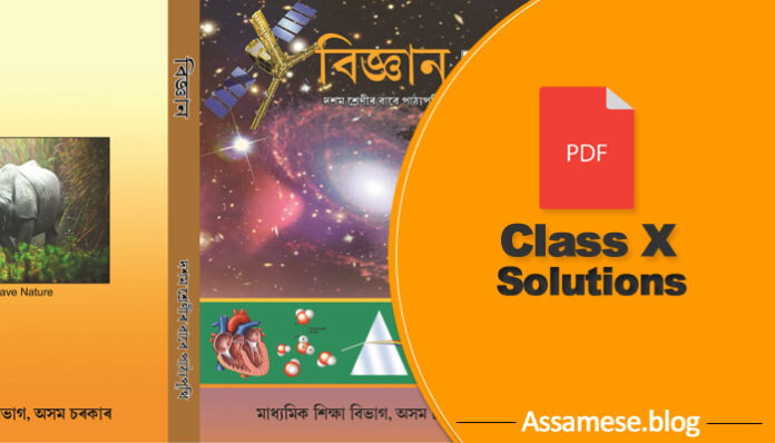 class 10 science solutions